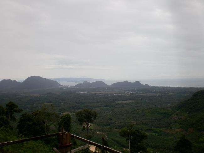 SANY7273.jpg